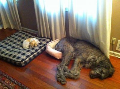 Bild zu *lol* - Baby Forum - Allgemeine Themen