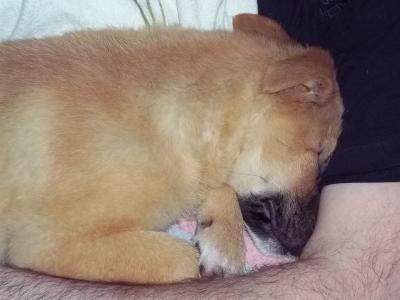 Bild zu Ekliges Bild *hust* - Baby Forum - Allgemeine Themen