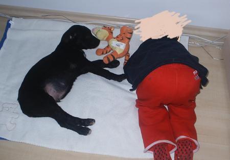 Bild zu 