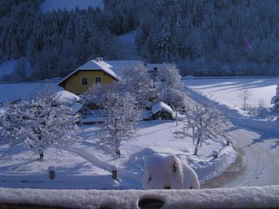 Bild zu winterwonderland bei uns in österreich!!!! - Baby Forum - Allgemeine Themen