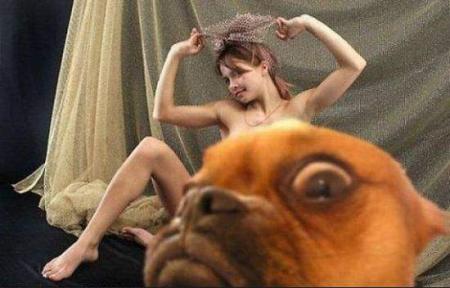 Bild zu 