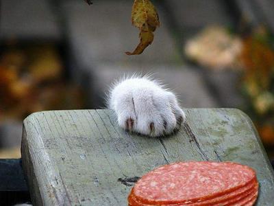 Bild zu :) - Baby Forum - Allgemeine Themen