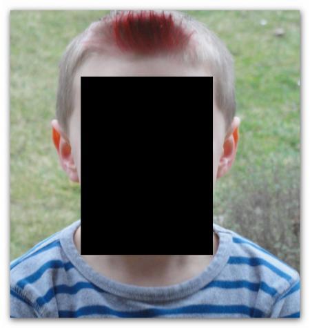 Bild zu 
