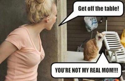 Bild zu Wer war das noch... - Baby Forum - Allgemeine Themen