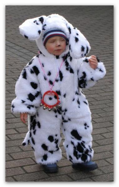 Bild zu 