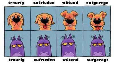 Bild zu von fatzebook geklaut - Baby Forum - Allgemeine Themen