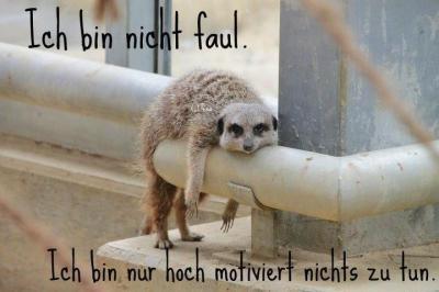 Bild zu Mein neues Arbeitsmotto - Baby Forum - Allgemeine Themen