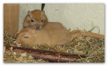 Bild zu 