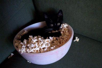 Bild zu will jemand popcorn? - Baby Forum - Allgemeine Themen