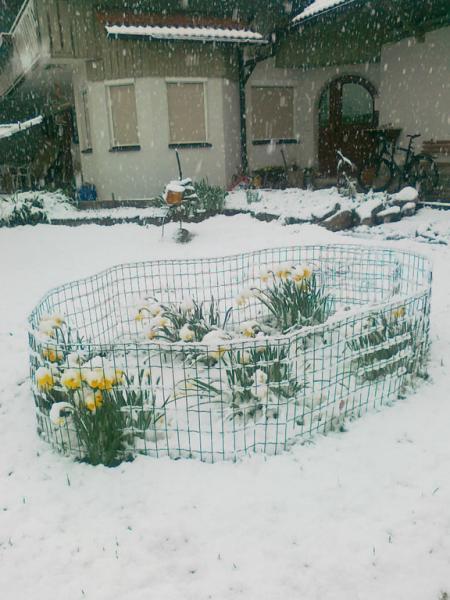 Bild zu