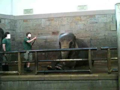 Bild zu Für die Kinder war der Tierpark heute, trotz des Wetters, ein Erlebnis..... - Baby Forum - Allgemeine Themen