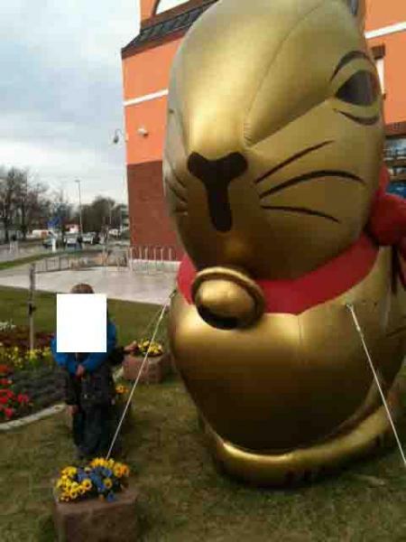 Bild zu