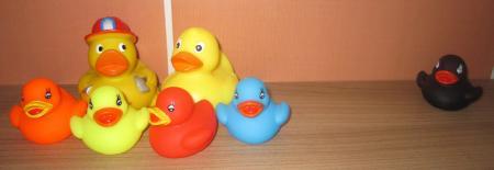 Bild zu 