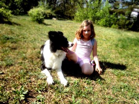 Bild zu