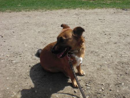 Bild zu