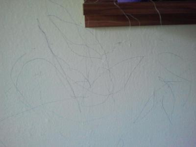 Bild zu Hilfe - Krieg ich Kugelschreiber von der Wand? - Baby Forum - Allgemeine Themen