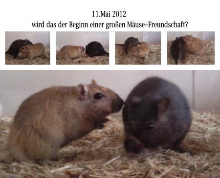 Bild zu