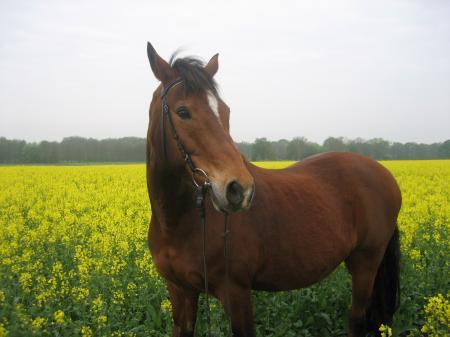 Bild zu 