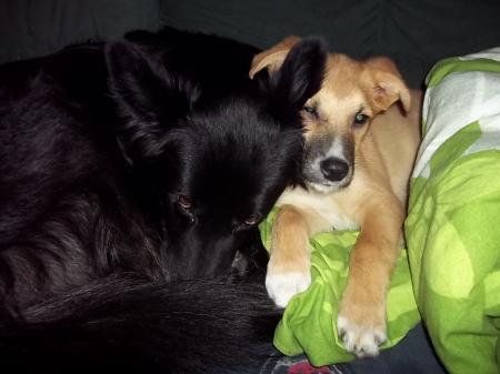 Bild zu 