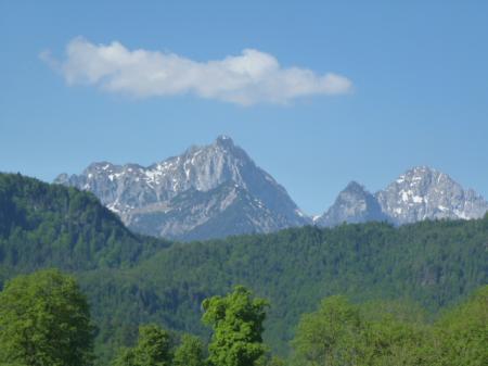 Bild zu