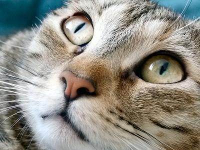 Bild zu ich habe - Baby Forum - Allgemeine Themen