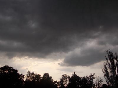 Bild zu Berlin - Baby Forum - Allgemeine Themen