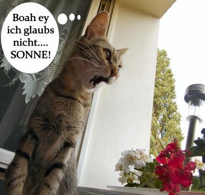 Bild zu Boah ey !!!! - Baby Forum - Allgemeine Themen