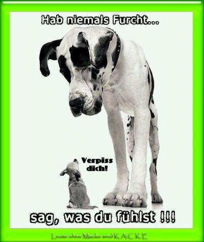 Bild zu :-) - Baby Forum - Allgemeine Themen