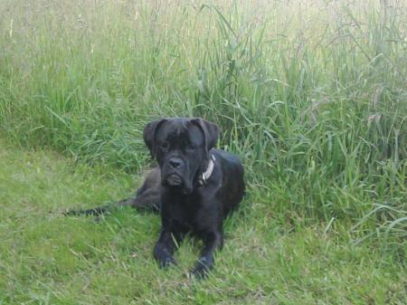 Bild zu