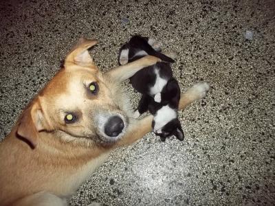 Bild zu Guckt mal.... - Baby Forum - Allgemeine Themen