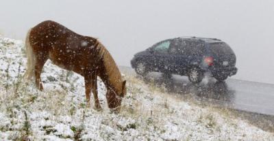 Bild zu Na jemand Lust auf ein wenig Schnee? - Baby Forum - Allgemeine Themen
