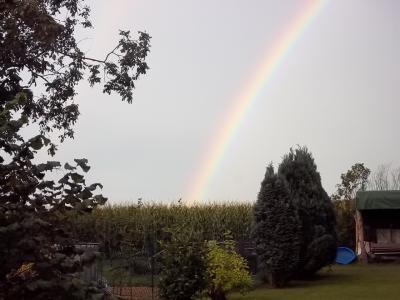 Bild zu Da komme ich eben in den Garten.... - Baby Forum - Allgemeine Themen