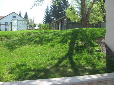 Bild zu Frage an die Gartenbesitzer - Baby Forum - Allgemeine Themen