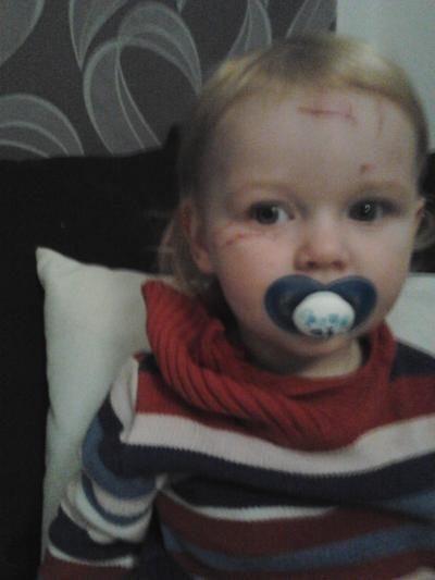 Bild zu jetzt ist auch noch die glaßtischplatte auf meine maus gefallen - Baby Forum - Allgemeine Themen