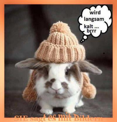 Bild zu und jetzt - Baby Forum - Allgemeine Themen