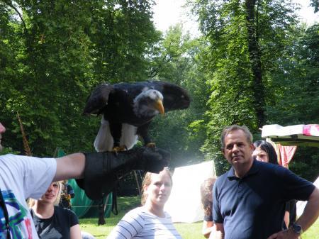 Bild zu