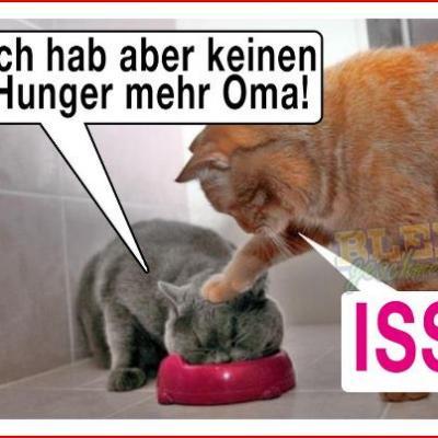 Bild zu haha, - Baby Forum - Allgemeine Themen