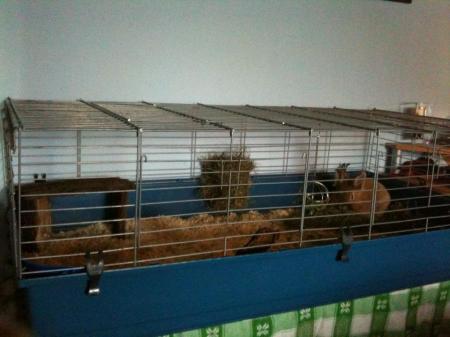 Bild zu 