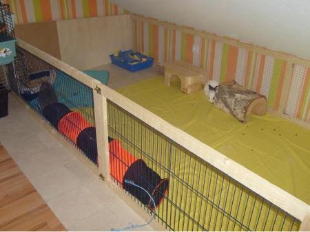 Bild zu 