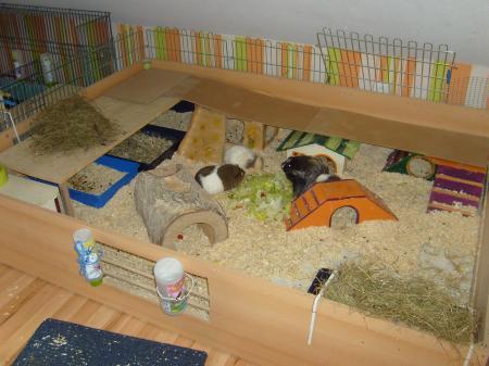 Bild zu 