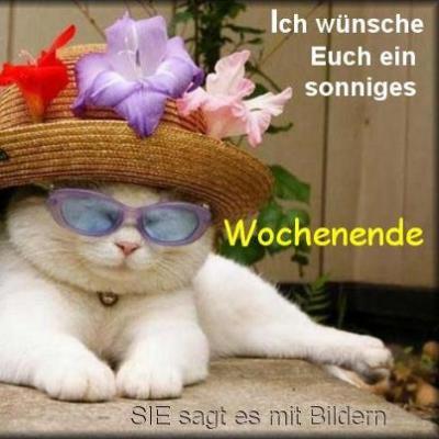 Bild zu hier!!!!!!!!!!!! - Baby Forum - Allgemeine Themen