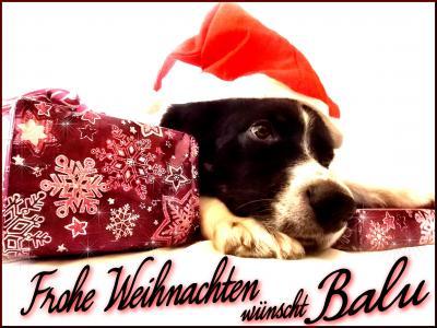 Bild zu Was meint ihr???? - Baby Forum - Allgemeine Themen