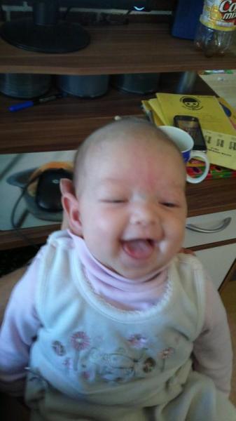 Bild zu 