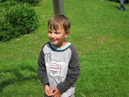 Bild zu