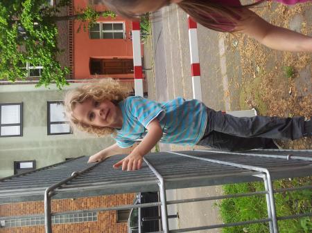 Bild zu