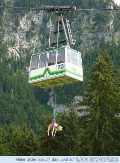 Bild zu Guckt mal... - Baby Forum - Allgemeine Themen
