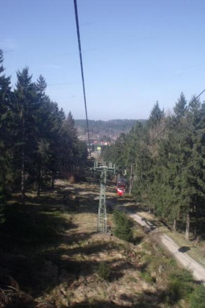 Bild zu 