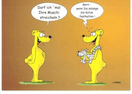 Bild zu 