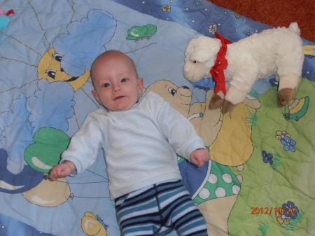 Bild zu 
