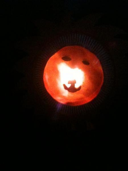 Bild zu 